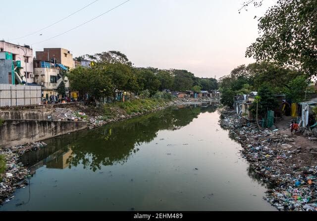 Cooum River restoration project announced