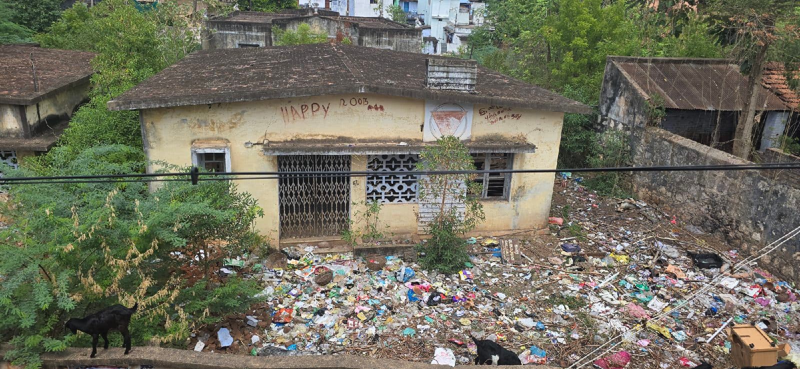 Abandoned Hospital Building Sparks Environmental and Health Concerns
