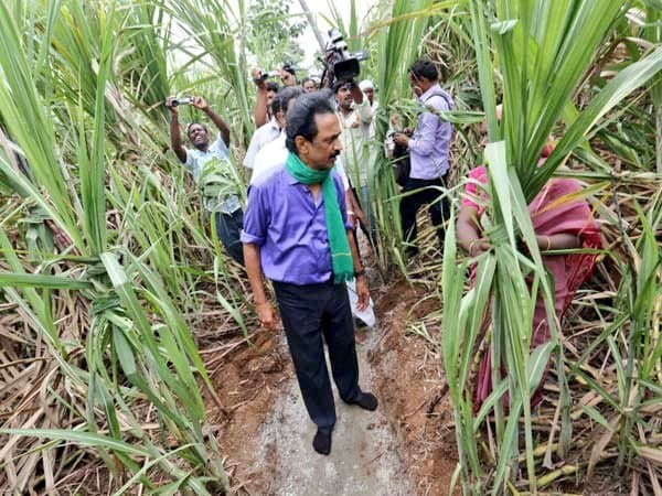 கரும்புத் தோட்டத்தில் கான்கிரீட் தளம் அமைத்த விவசாயி.