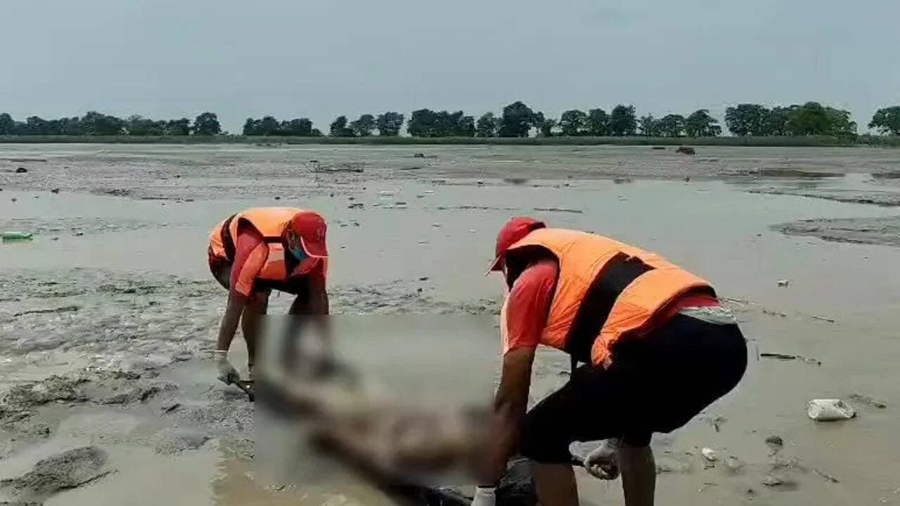உத்தரப் பிரதேசத்தில் 3 உடல்கள் மீட்பு
